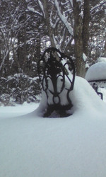 110215_134401 110215_134401