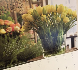 Img_1153_2_2 Img_1153_2_2