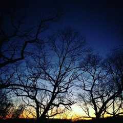 %e8%bb%bd%e4%ba%95%e6%b2%a2%e5%86%ac